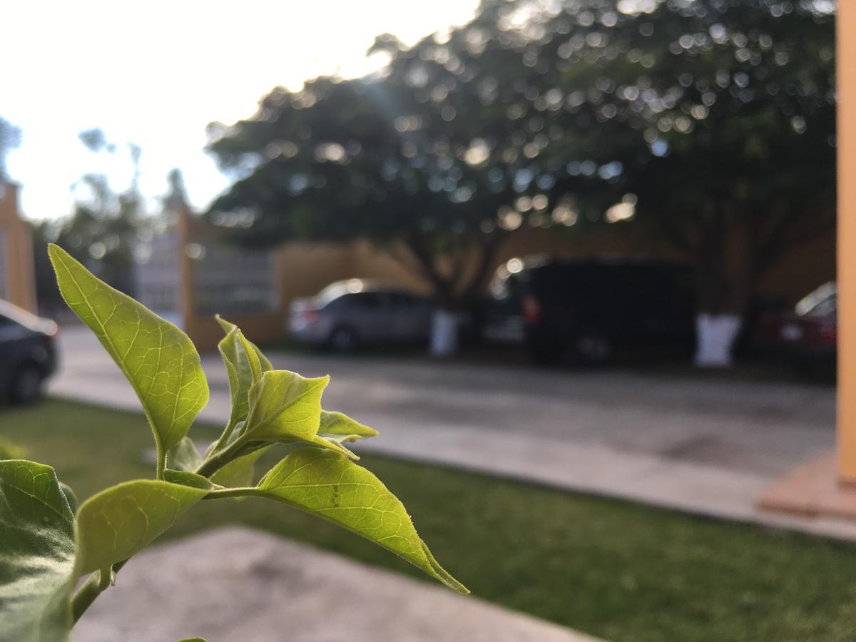 Hotel Tierra Del Sol Oaxaca מראה חיצוני תמונה
